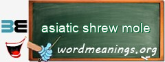 WordMeaning blackboard for asiatic shrew mole